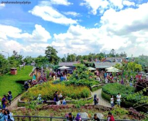 Farm House (lembang)