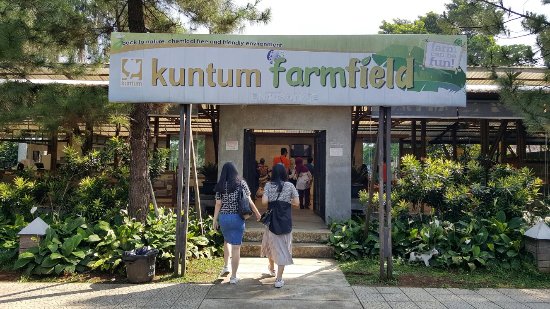 Kuntum Farmfield (bogor)