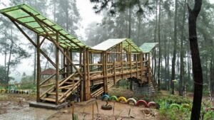 Wisata Bukit Tronggolasi (jawa tengah)